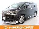 carPhoto