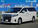 carPhoto