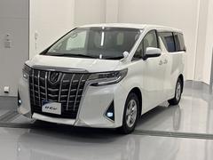 アルファード 2.5X 衝突回避システム Rカメラ ナビ イモビライザー メモリナビ ETC車載器 DVD可 オートエアコン LEDヘッドライト 3列シート クルコン フルフラットシート スマートキー リアエアコン ESC 中古車画像