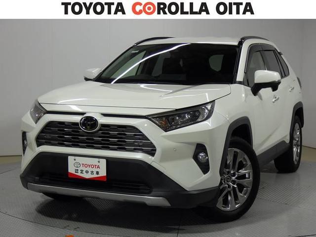 ＲＡＶ４ Ｇ　Ｚパッケージ　４ＷＤ　フルセグ　メモリーナビ　ＤＶＤ再生　バックカメラ　衝突被害軽減システム　ＬＥＤヘッドランプ　ワンオーナー　盗難防止装置　アルミホイール　ＣＤ　電動シート　スマートキー　展示・試乗車　フル装備（1枚目）