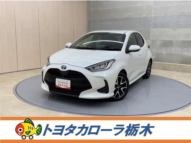 誠に恐縮ですが、販売は栃木県在住で、ご来店いただける 方に限らせていただきます。（栃木県境の市町村は販売可）