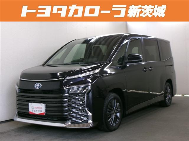  ϥ֥åɣӡݣǡե륻꡼ʥӡģ֣ĺ 0102286A20251019T001 1