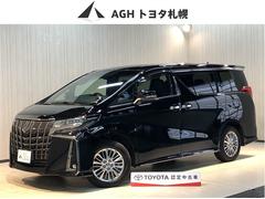 アルファードハイブリッド S タイプゴールドIII 4WD メモリーナビ ETC バックカメラ 両側電動スライドドア アルミホイール 3列シート フルフラット フルセグ オートクルーズコントロール アイドリングストップ 100V電源 寒冷地仕様 ABS 中古車画像