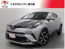 carPhoto