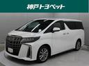 存在感のあるゆとりのボディ、高級感のあるインテリア、後席モニターなど装備