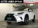 近畿在住でご来店頂けるお客様への販売に限らせていただきます。