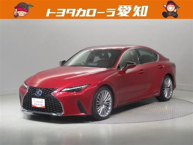 쥯 ɣ ɣӣ衡С̡ﳲڸƥࡡ꡼ʥ