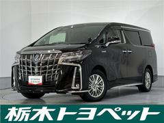 アルファードハイブリッド SR エアコン 1オ-ナ- 地デジ 両電動ドア ミュージックプレイヤー接続可 電動シート LEDライト キーレス ETC車載器 メモリナビ Bカメラ 盗難防止 エアバッグ 3列シート DVD再生 4WD 中古車画像