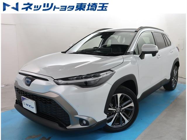 ԸΤͤؤ˸¤餵ĺƤޤ ǥץ쥤ǥܤΥ饯ϥ֥å 1