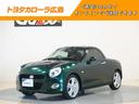 carPhoto
