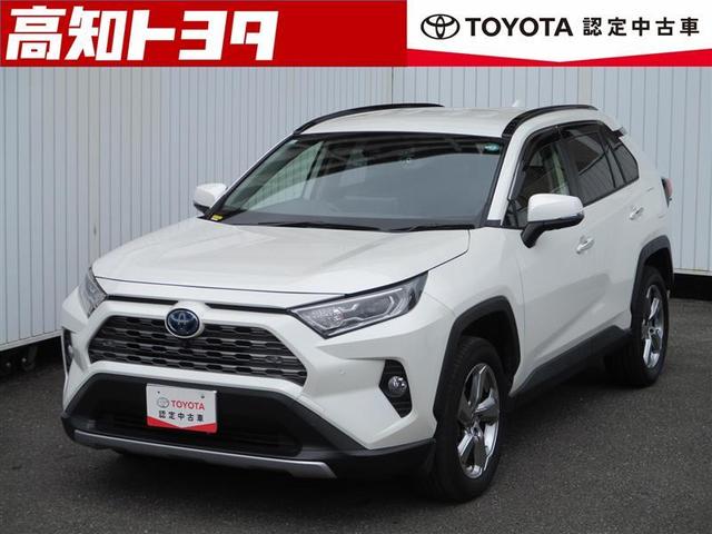 RAV4(トヨタ) ハイブリッドG 4WD フルセグ メモリーナビ ミュージックプレイヤー接続可 バックカメラ 衝突被害軽減システム ETC ドラレコ LEDヘッドランプ ワンオーナー 中古車画像