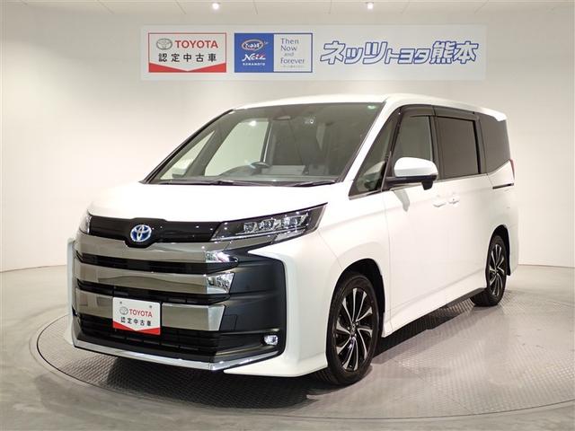 ;ꡢԡݥͥȥʥӡե륻ԣ֡Хå˥ţԣạ́ţ 1