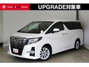 carPhoto