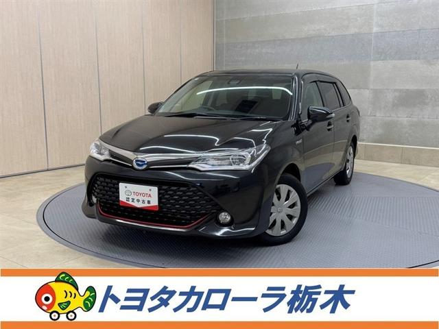 ȥ西 ե ϥ֥åɣǡץ饹åɡﳲڸ֥졼ʥ