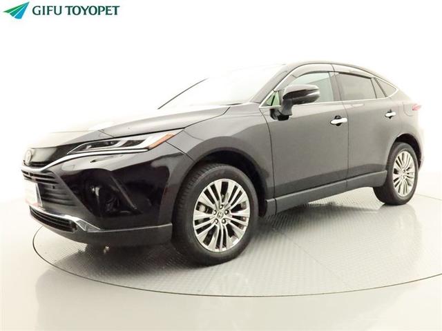 ȥ西 ϥꥢϥ֥å ڡ쥶ѥåʥӥե륻̥˥