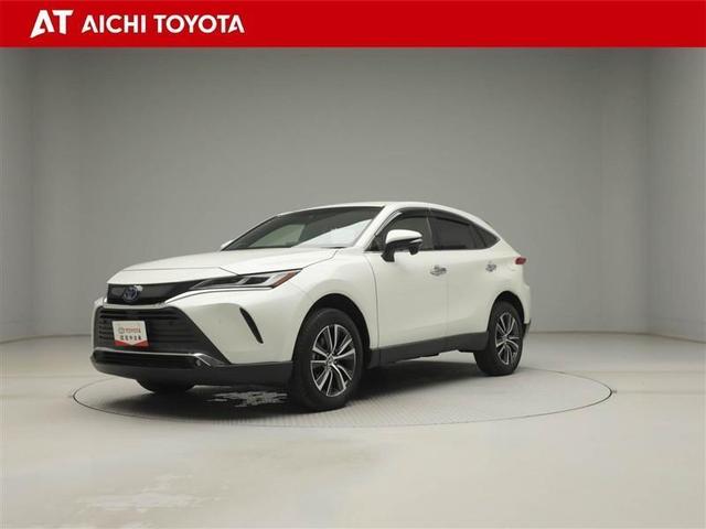 ȥ西 ϥꥢϥ֥å ǡͷڸϥǥ̣ţ