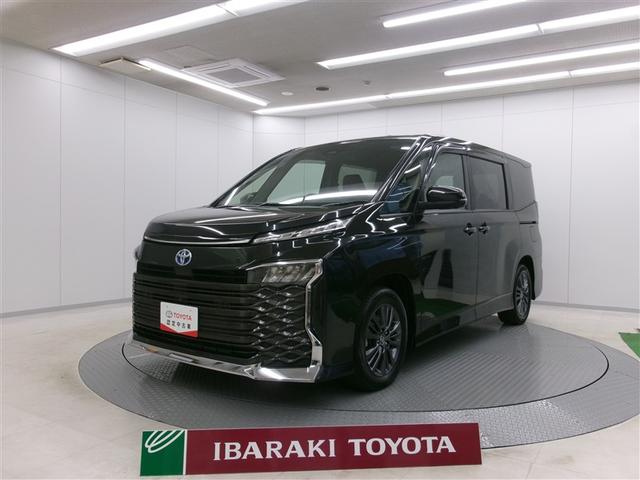 ȥ西  ϥ֥åɣӡݣǡԣ֡ϥǥ륳