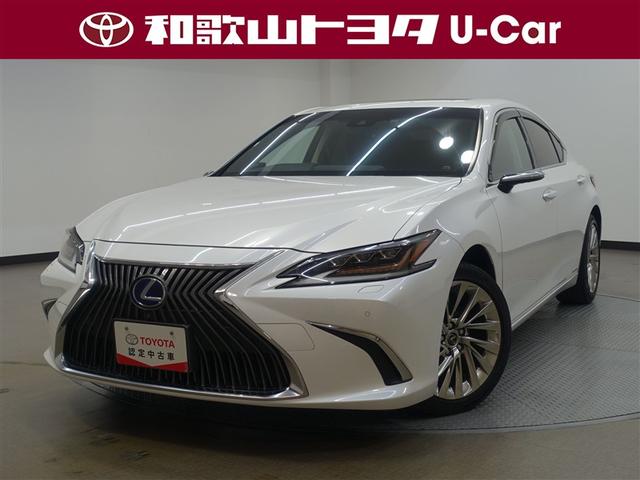 ţ ţӣ衡С̡ץȡ롼 0708156A20251027T001 1