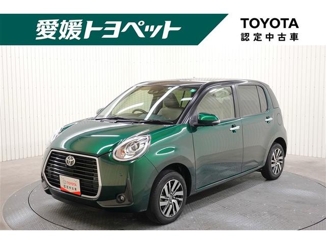 ϻ͹񣴸ˤޤҤΥƥʥ󥹥ѥåΤƤ 1