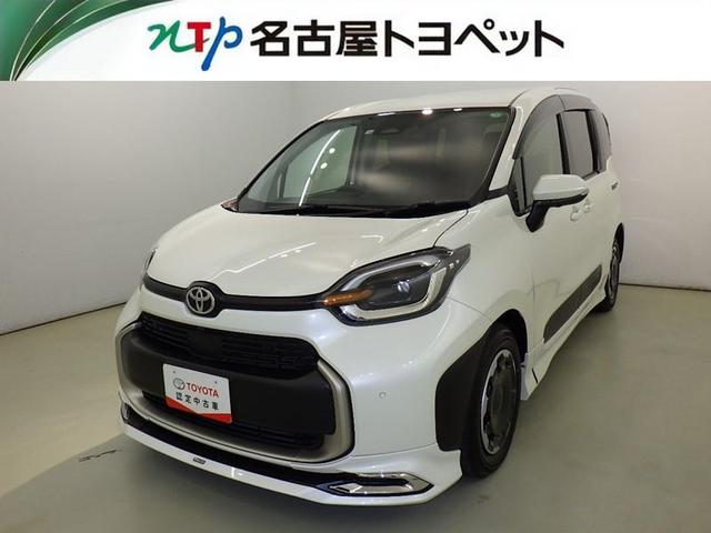 ȥ西  ڡﳲڸƥࡡե륻Хå