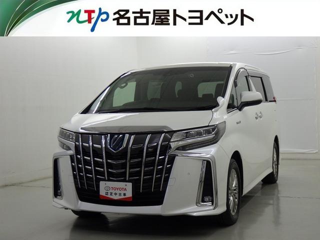 ȥ西 եɥϥ֥å ӣҡåѥåﳲڸƥࡡ꡼ʥ