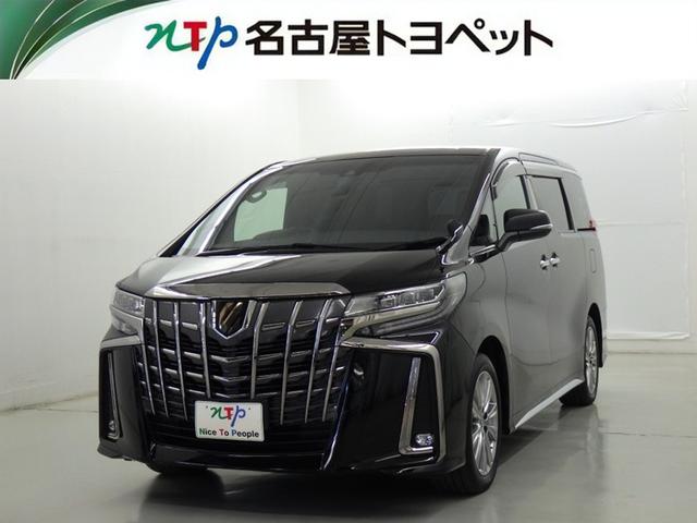 ȥ西 ե ӡץɡﳲڸƥࡡե륻