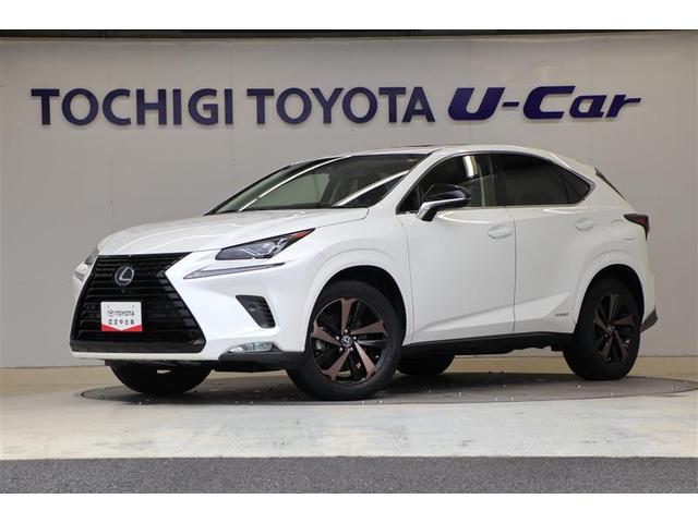 ڸޤܸ߽ǡŹؤȤƤ 1