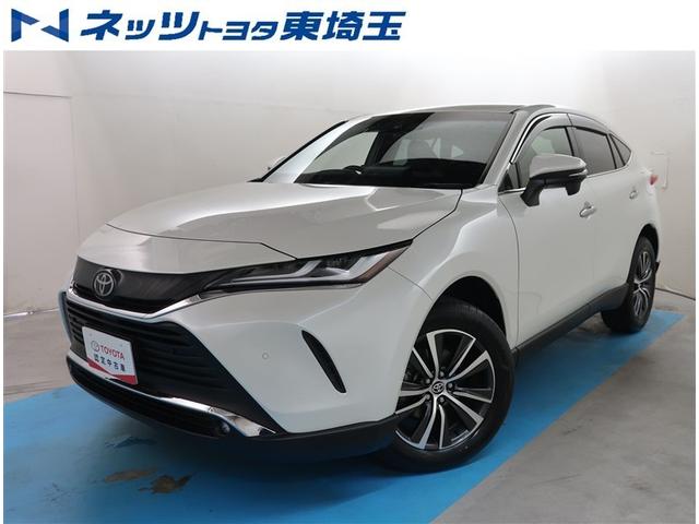 Ըؤ˸¤餻Ƥޤ ʣ£̥ץߥॵɥƥܤΥϥꥢ 1