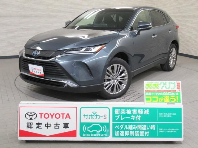 ֤ʤȥ西ǥ顼¿ż Ȥ곰ƥǴݻͤǤ 1