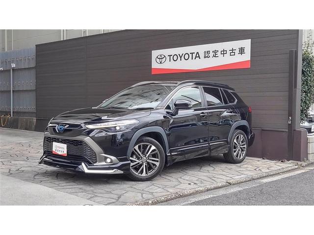 žʡʥȥҡѥХåɥǥꥹե륨 1