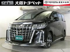 ȥ西եɡӡåѥåξưɥɥ󥰥ȥå