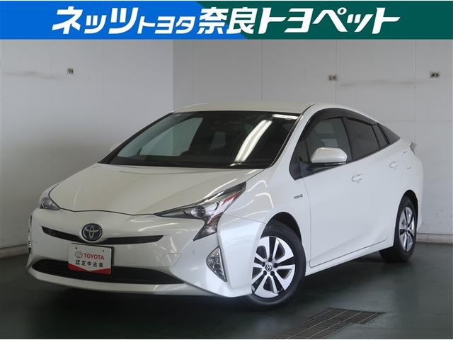 ȥ西 ץꥦ ͷڸ֥졼ƥࡡ¥˥̣ţĥإå