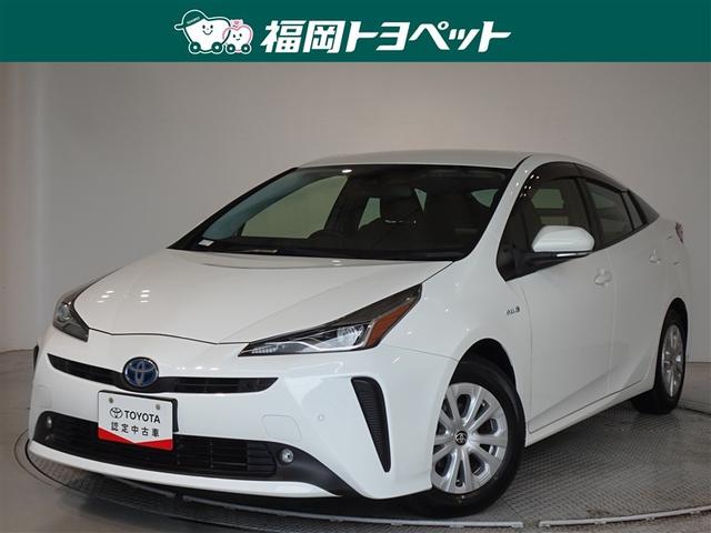 ȥ西 ץꥦ ӡﳲڸƥࡡ꡼ʥӡХå