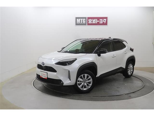 ȥ西 ꥹ ϥ֥åɣǡףġ꡼ʥӡߥ塼åץ쥤䡼³