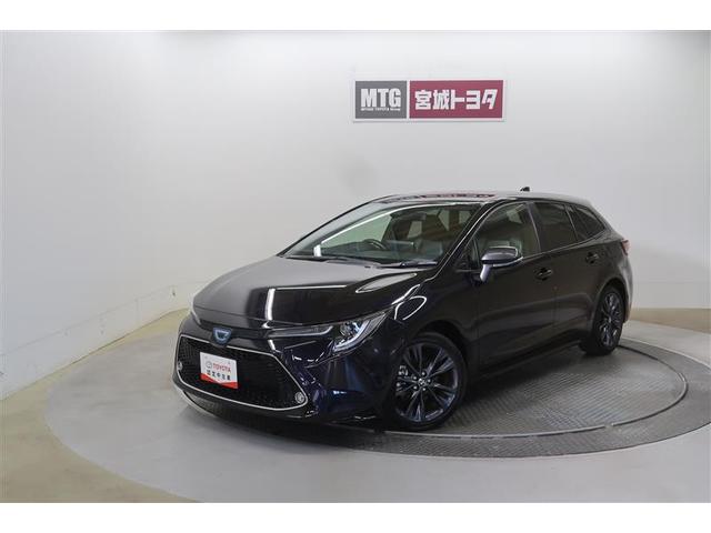 ȥ西 ġ ϥ֥åɡ֥Хӡﳲڸƥࡡʥӡԣ