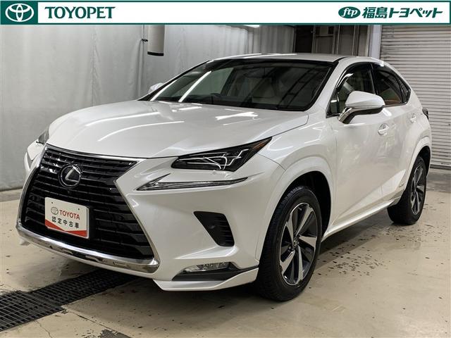 Źؤ˸¤餻Ƥޤ ףġ̣ӣӡܡե륨꡼ʥӡ⥹ţԣ 1