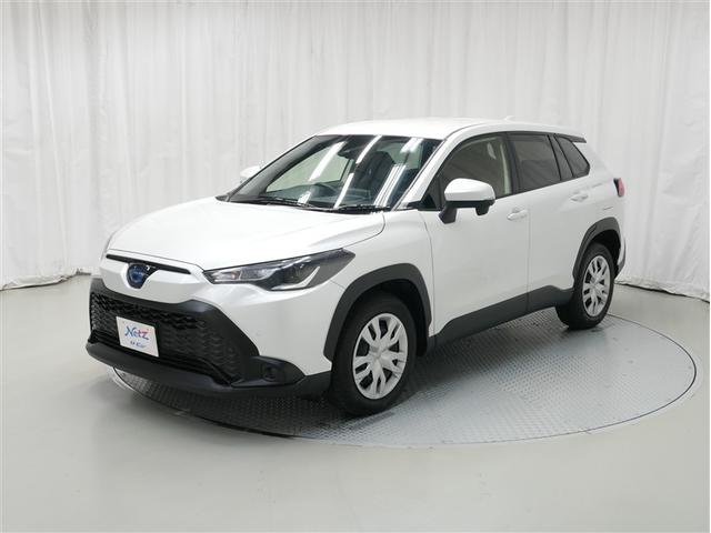 󥿥գС꡼ʥӡ륳󡦣ԣӣӡţԣáХå˥ 1