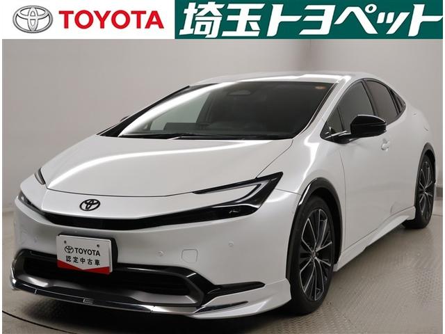 ȥ西 ץꥦ ڡꥢ顡ץꥯå塡Уץ