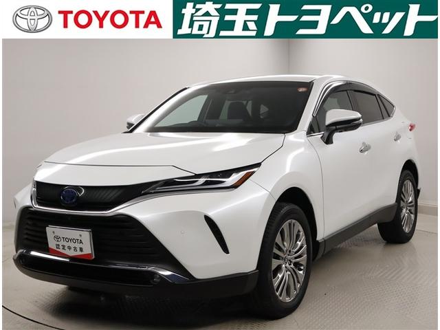 ȥ西 ϥꥢϥ֥å ڡ쥶ѥåϥǥɻ