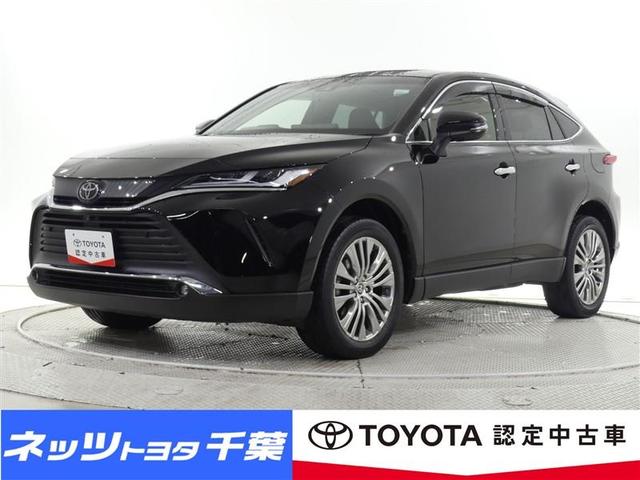 ϥꥢ ڡե륻꡼ʥӡХå 0501669A20251029T005 1