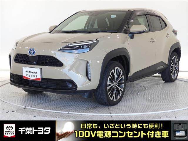 ǧżۣ֡ԥͥȤ̵ǤĺΤϡǯޤǤǤ 1