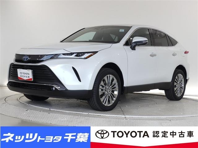 ԥͥȥʥӤ̵ǤѤΤϡǯޤǤǤ 1