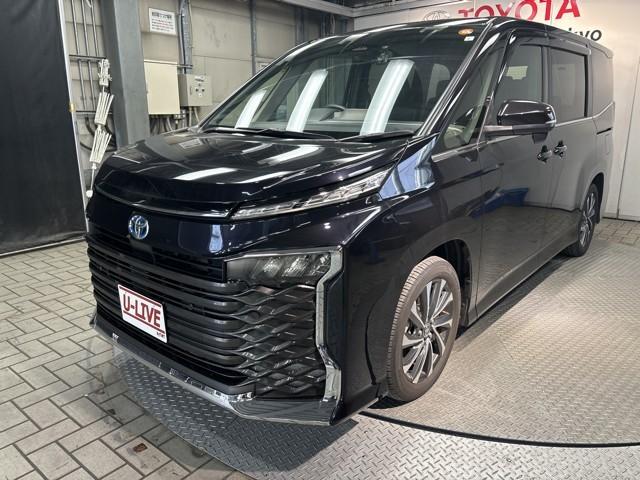 ڥ饤̼ѡ ̡ա롦˸¤餻Ƥޤ 1