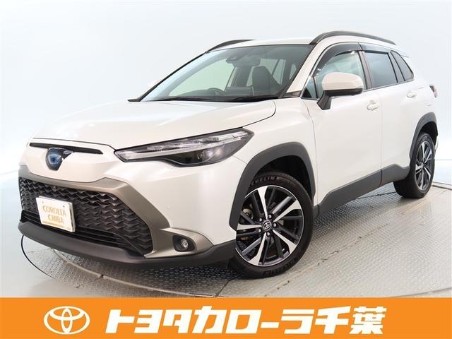 Ź˾κݤϻˤͽ򤪴ꤤפޤ ٤ǤŹؤ˸¤餻Ƥޤ 1