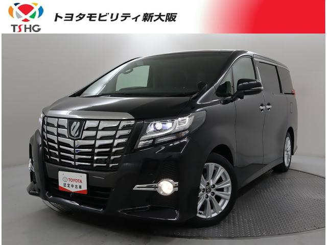 ȥ西 ե ӡѥåե륻꡼ʥ