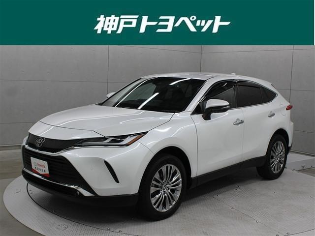 ȥ西 ϥꥢ ڡե륻꡼ʥӡߥ塼åץ쥤䡼³