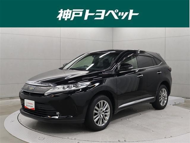 åʥץݡ󡢹鴶Τ륤ƥꥢŬ⽼¤ 1