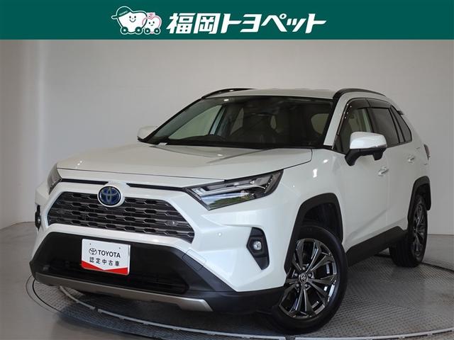 ʡ߽ΤߤؤǤڣ ȥ西Σףġ͵Σң֣Ťǥѥեʥϥ֥åɻ͢ 1