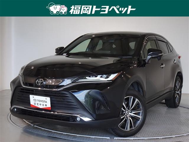 ȥ西 ϥꥢ ǡﳲڸƥࡡ꡼ʥӡե륻