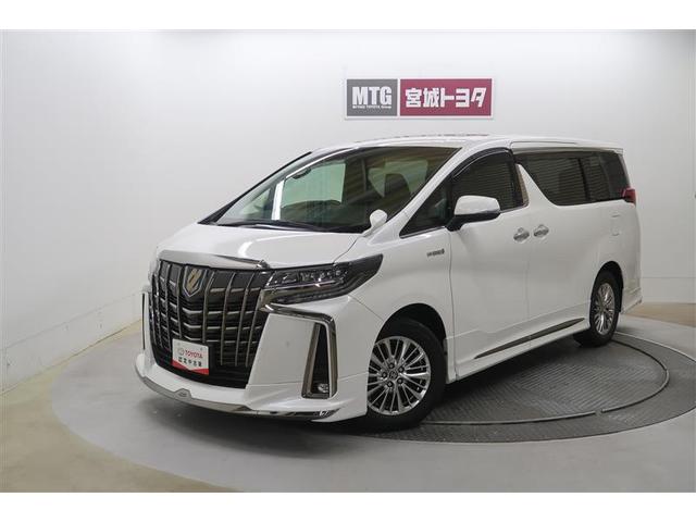 ȥ西 եɥϥ֥å ӡץɡףġե륻